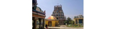 நாகை நீலதயாட்சி - தமிழ்நாடு
